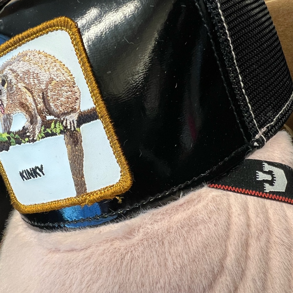 Goorin Farms Limited Edition - HONEY BEAR - KINKY - Picture 4 of 8